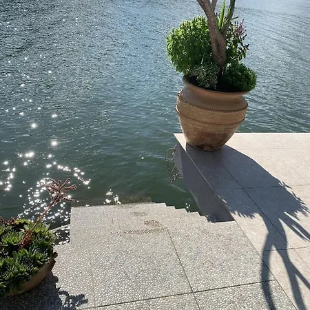 Dunavska Milosavljevic Donji Milanovac