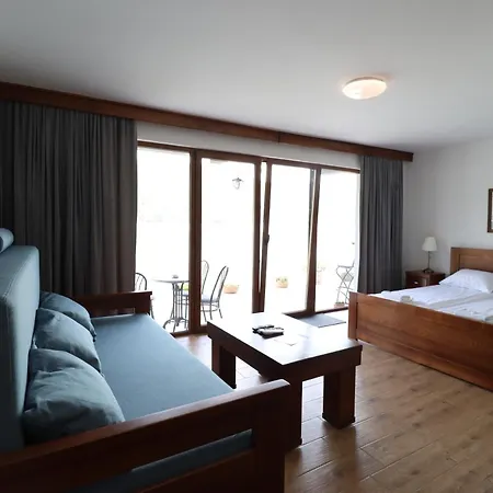 Dunavska Milosavljevic Apartment *