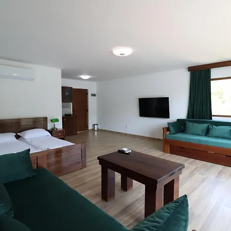 Apartment Dunavska Milosavljevic Donji Milanovac